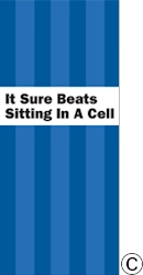P-33 It Sure Beats Sitting in a Cell