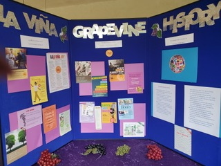 Grapevine display